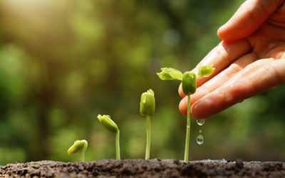 Growing Into Who You Want to Be